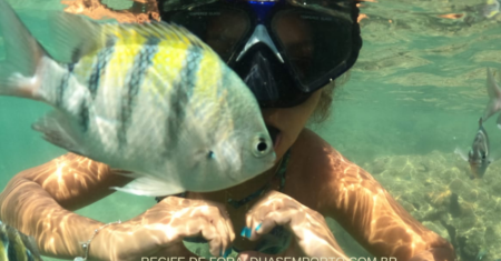 PASSEIO PARQUE MARINHO RECIFE DE FORA EM PORTO SEGURO BAHIA BRASIL