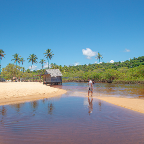 passeio-trancoso-bahia